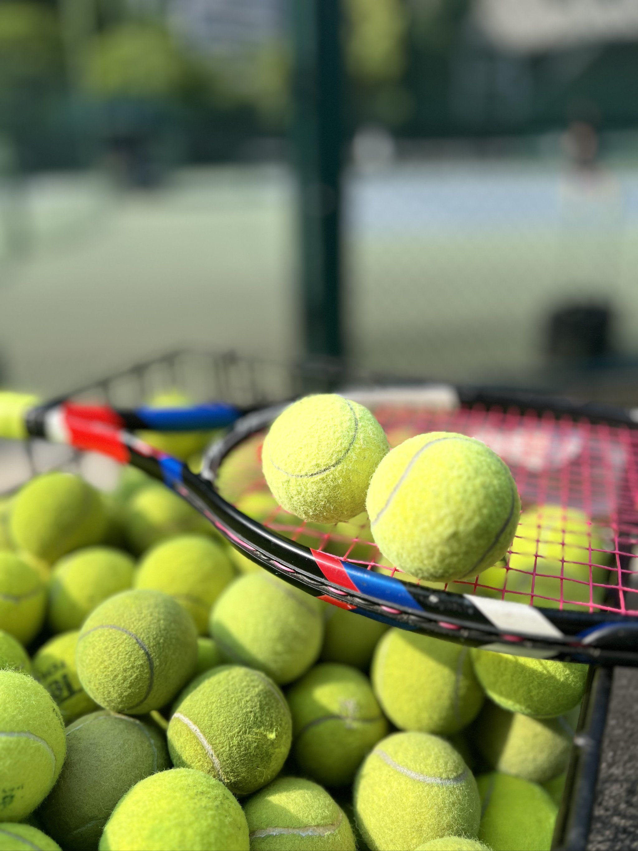 往往会同时 往往会同时