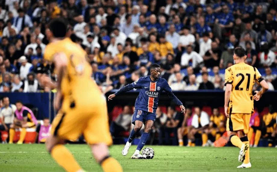 牌的希望 牌的希望